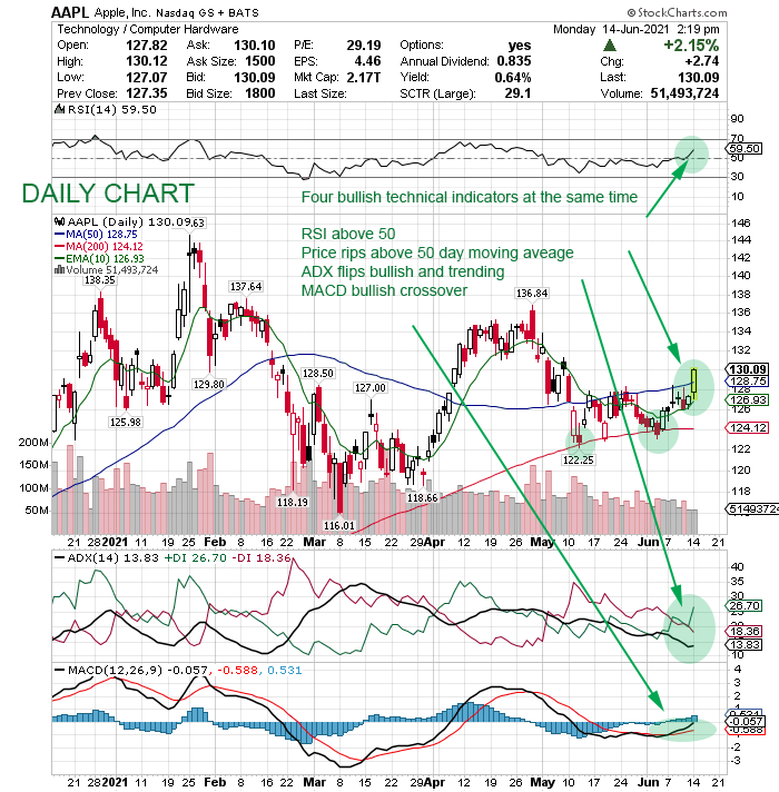 apple inc daily chart